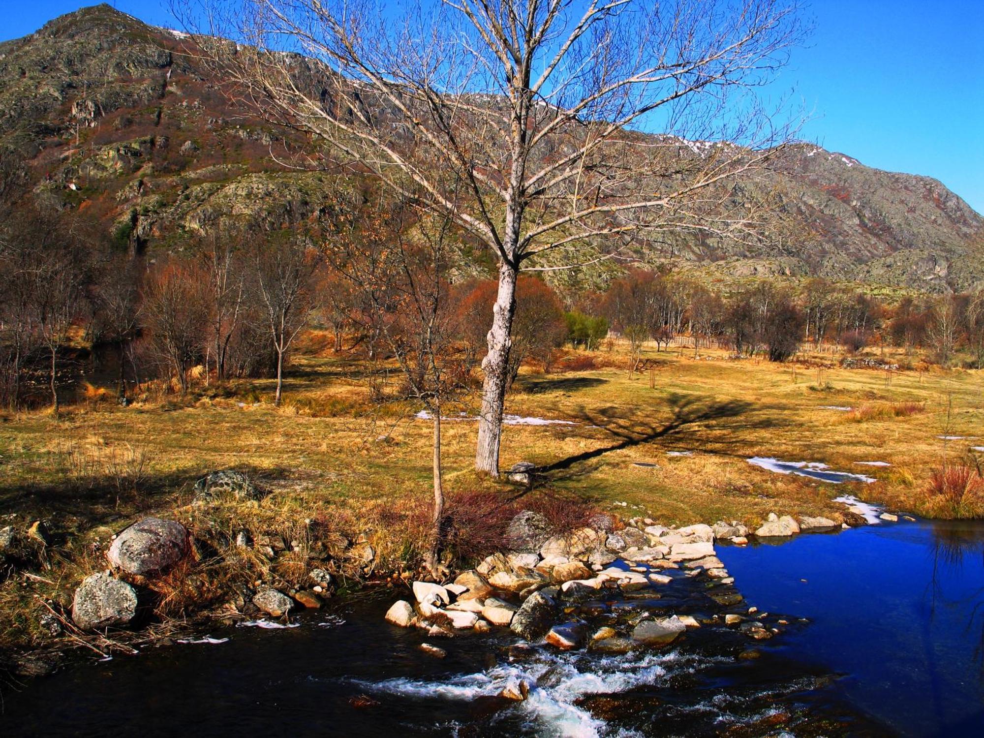 Hostal Martin - Sanabria Ribadelago Buitenkant foto